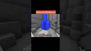 Wtf minecraft [upl. by Ibot]