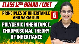 Principles of Inheritance And Variation 06  Chromosomal Theory of Inheritance  Class 12thCUET [upl. by Halyk]