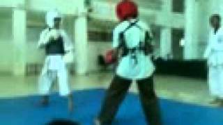 Kempo vs silat [upl. by Airogerg]