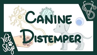 Canine Distemper  cause pathophysiology clinical signs diagnosis treatment prevention [upl. by Philbo]