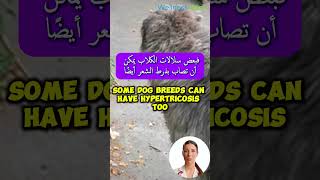 I Woke Up as a WEREWOLF 🐺😱 The Truth About Hypertrichosis استيقظت كذئب ذئبي؟ الحقيقة حول فرط الشعر [upl. by Berhley679]