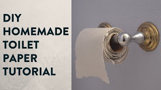 How to make Toilet Paper out of recycled paper at home DIY Homemade Toilet Paper Tutorial [upl. by Trelu]