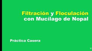 Floculación con mucílago de nopal Práctica casera [upl. by Penni]