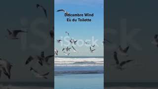 Delcambre Wind Perfume funny cajun comedy cajunlife perfume hilarious [upl. by Jalbert]