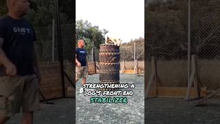 Bull Terrier jump trainingdogtraining bullterrier dog [upl. by Leina]