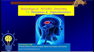 6thalamus and hypothalamus [upl. by Jodi642]