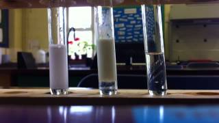 Halide ions and silver nitrate [upl. by Afatsom]