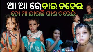 ଆ ଆ ରେ ବାଇ ଚଢ଼େଇ 🐦 mini vlog  odia gita aa aa re bai chadhei 🦜MoLifestory [upl. by Leighton504]