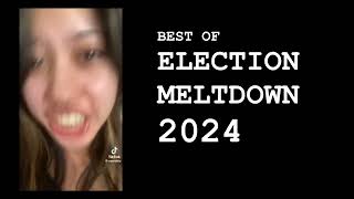 Promemoria 2024 the Meltdown [upl. by Naimad146]