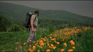 Hike to an abandoned apiary in the mountains Bushcraft Bear trap Overnight in the wild forest [upl. by Welsh]