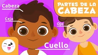 Las partes del cuerpo  La cabeza  Vocabulario para niños [upl. by Viridis811]