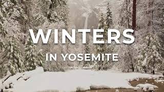 Winter Lodgings in Yosemite [upl. by Adnarem]