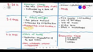 Pathology of myocardial infarction [upl. by Amolap918]