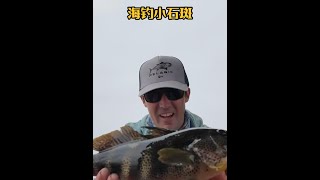 戶外釣魚：漁民用小螃蟹做餌在跨海大橋下釣獲石斑魚！ 原來釣魚才是抖音運動頂流 釣魚 [upl. by Namhar]