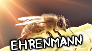 Bienen die Ehrenmänner [upl. by Ecerahs]