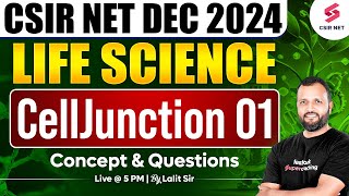 CSIR NET DEC 2024  Life Science  Concept And Questions  Cell junction  Part 01  Dr Lalit Pal [upl. by Dolora]