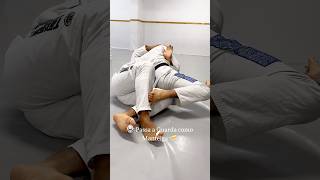 Knee Slide bjj jiujitsu grappling [upl. by Reiss]