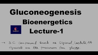 Gluconeogenesis  Irreversible pathway of glycolysis  Amino Acid of Gluconeogenesis [upl. by Hiett]