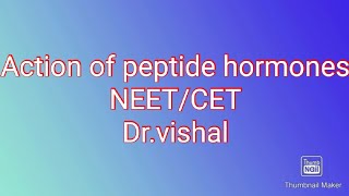 Action of peptide hormones [upl. by Lustick]