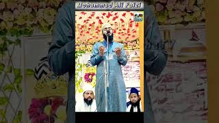 Mola ya salli wa sallim naat sharif mohammad ali faizi mohammadalifaizinaat anhatlstar shorts [upl. by Roosevelt]