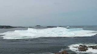 Iceberg Foundering July 4 2009 Twillingate Newfoundland [upl. by Kovacs]