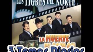 El Avion de la MuerteLos Tigres del Norte Album La Muerte del SoplonAño 2006 [upl. by Isacco]