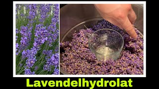 duftendes Lavendel Hydrolat mit dem Dampfentsafter herstellen  Selbstversorgung Lavendelwasser [upl. by Inava302]