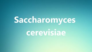 Saccharomyces cerevisiae  Medical Definition and Pronunciation [upl. by Yelram]