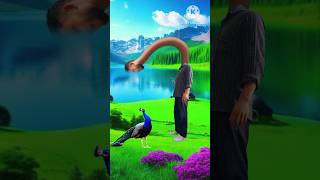 Artificial peacock water transport special effects  3D effect shorts youtubeshorts vfxhd 3d [upl. by Dupuis59]