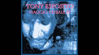 Tony Esposito  Veronica Song [upl. by Walburga233]