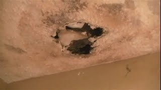 How To Repair Sheetrock On Ceiling [upl. by Jamey]