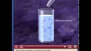 Monoclonal Antibody Production [upl. by Atinuj808]