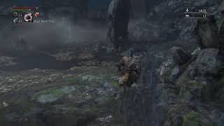 Bloodborne  SpeedRun Practice [upl. by Kcitrap]