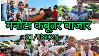 मनौटा कबूतर बाजार जिला सम्भल Manota Kabootar bajar jela Sambhal 2192024 [upl. by Ardnuasac]