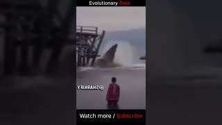 Terrifying Megalodon Attack Caught on Camera [upl. by Hanna89]