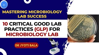 Good Laboratory Practices in Microbiology 10 Essential Good Lab Practices for Success GPL [upl. by Nimocks197]