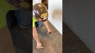 Carpet Tiles InstallationFree Flooring Solution [upl. by Akialam]