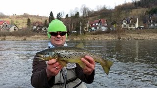 Pstrągi na gumę Spinning  Dunajec Keitech Shad Impact Pstrągi 50 cm [upl. by Aruabea]