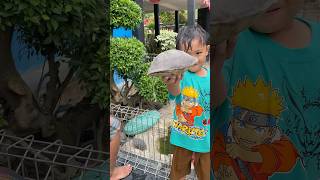 KAGET‼️ HEWAN LUCUNY PIPIS SEMBARANGAN🙈 minivlog hiburanshorts anakdesa vlog [upl. by Greabe]