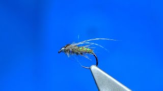 Tying One of my Top Caddis Pupa Flies by Davie McPhail [upl. by Pogah8]