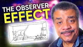 What is Schrödingers Cat  Neil deGrasse Tyson Explains [upl. by Nodarb]