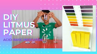 DIY litmus paperCreate your own litmus paperAcid and base indicatorScience Experiment for kids [upl. by Ginny]