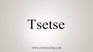 How To Say Tsetse [upl. by Ayim]