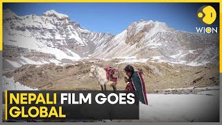 Berlinale 2024 Nepali film Shambhala to compete at Berlin festival  World News  WION [upl. by Eolande]