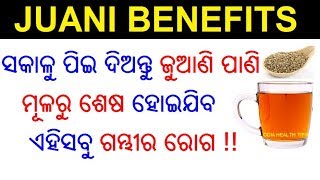 ଜୁଆଣି ର ୧୦ ଟି ଔଷଧୀୟ ଗୁଣ  Juani ra upakarita  Juani benefits  Ajwain Odia  ODIA HEALTH TIPS [upl. by Naoh]