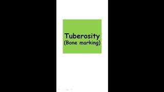 Tuberosity Bone marking [upl. by Fairweather]