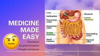 Omentum Omental foramen Pringle Maneuver  fast and easy  MEDICINE MADE EASY [upl. by Couhp68]