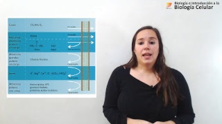 23 Biología celular Funciones de la membrana plasmática [upl. by Atiuqaj]