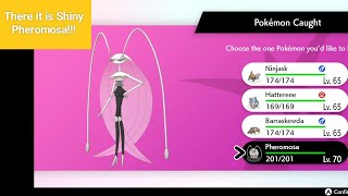 Shiny Pheromosa is Here [upl. by Akibma]