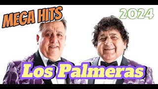 MUSICA PARA BAILAR  COLADITO  24  LOS quotHITSquot DE LOS PALMERAS [upl. by Giffard655]